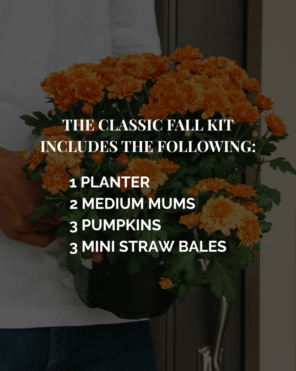 Classic Fall Porch Kit - LandscapeDirect