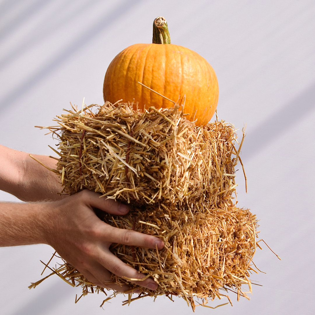 Fall Accessories