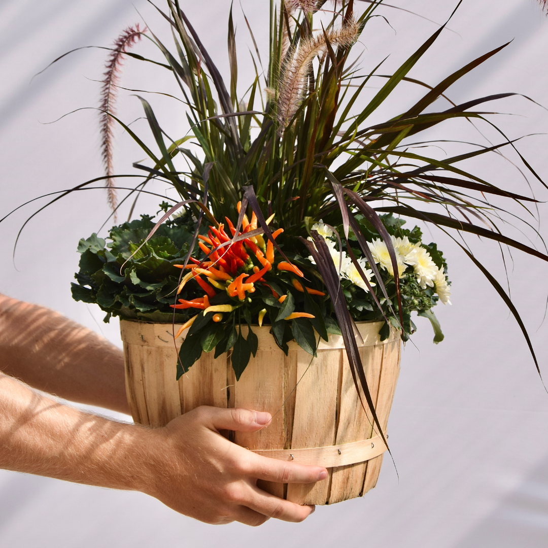 Fall Planter