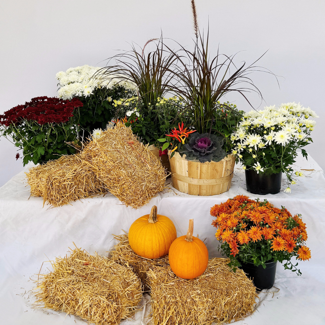 Fall Porch Kits