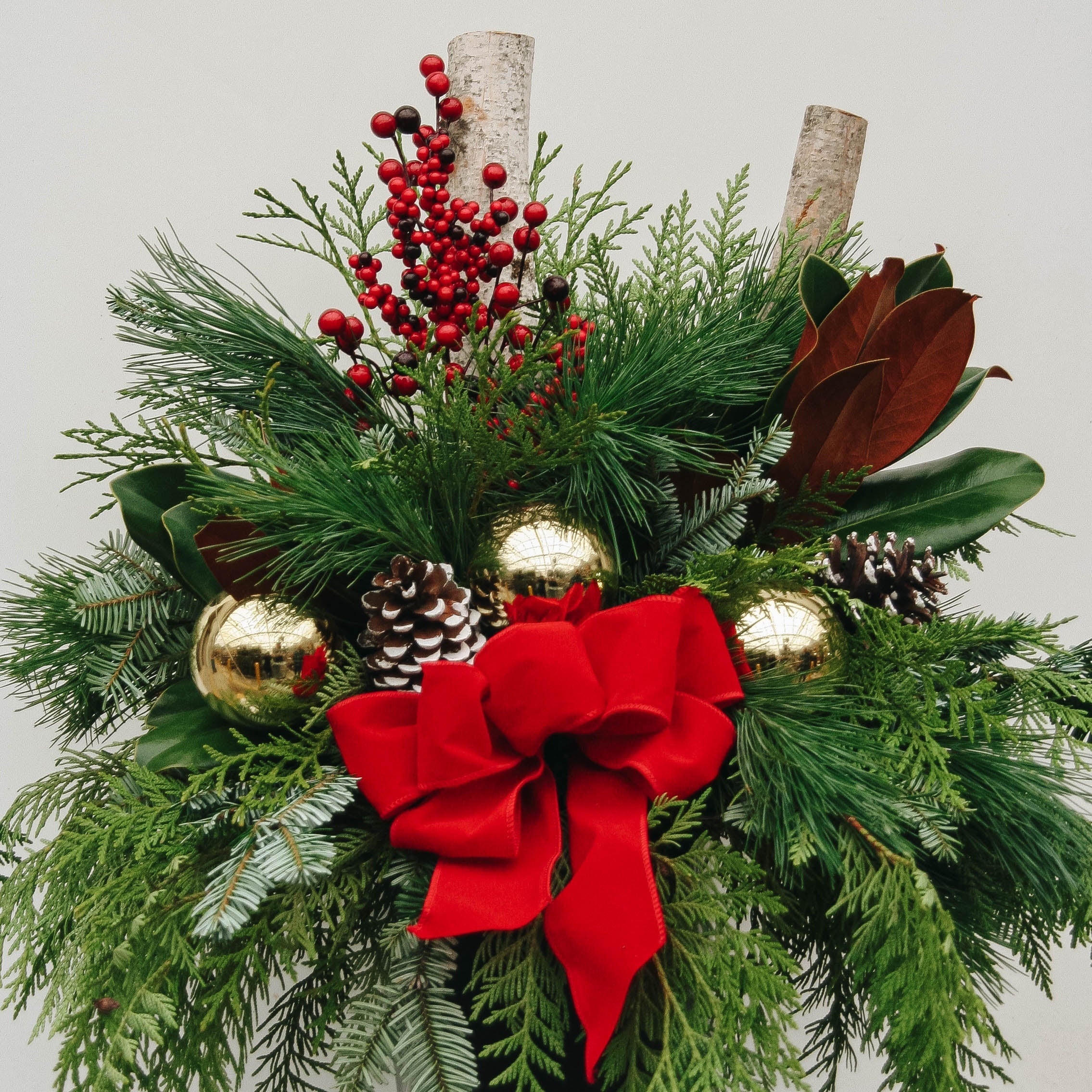 Christmas Collection - LandscapeDirect