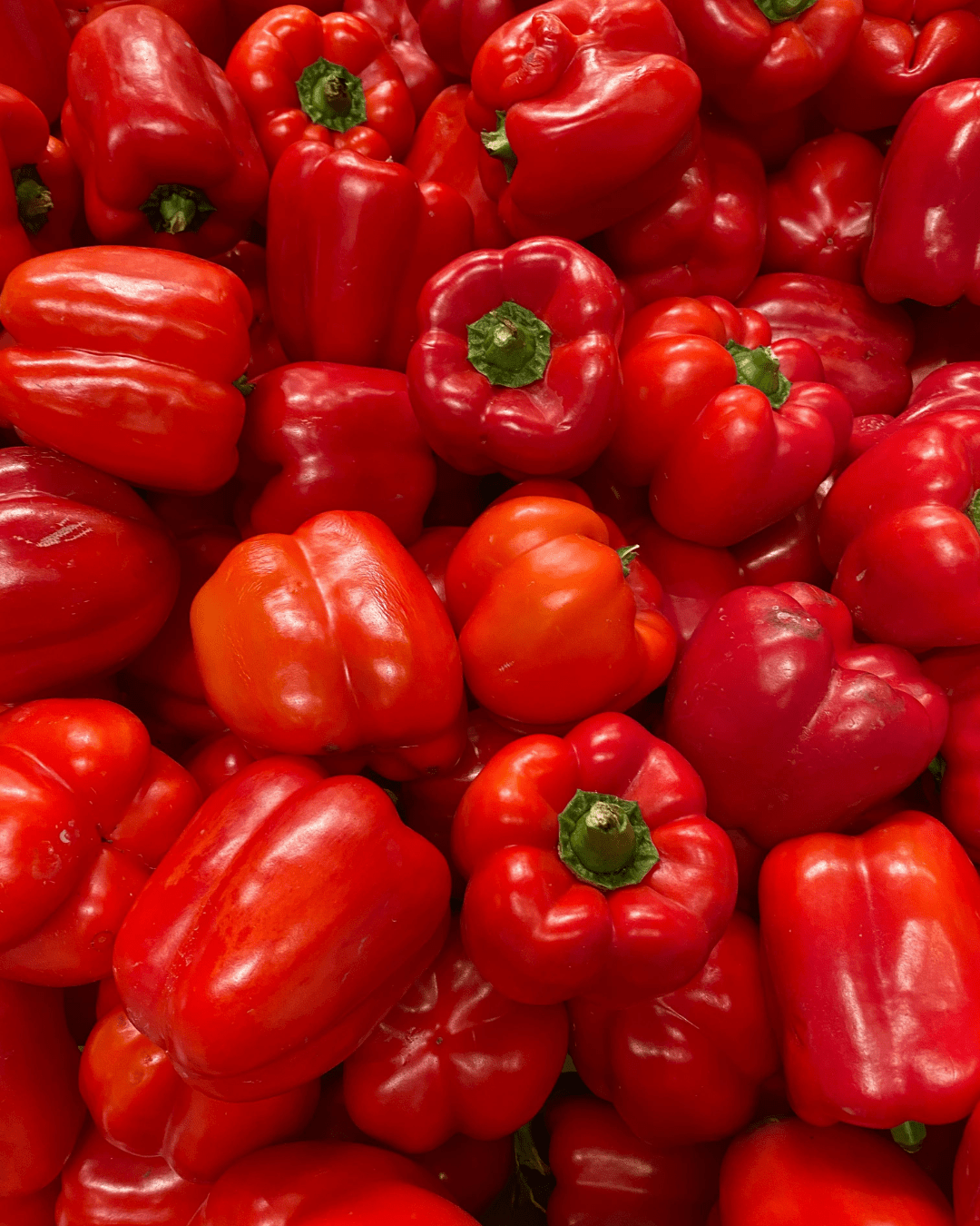 Shop Peppers - LandscapeDirect