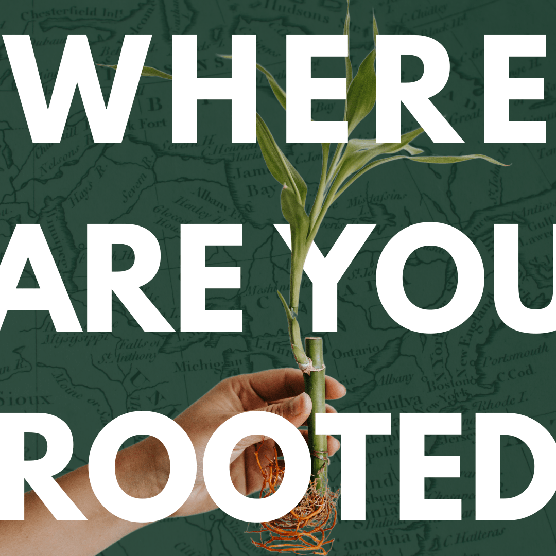 Where Are You Rooted - LandscapeDirect