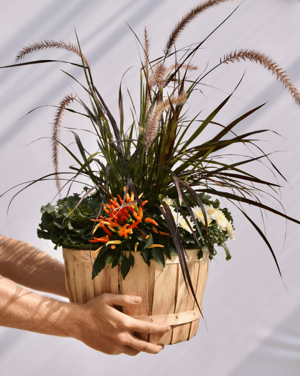 10" Fall Planter - Wood Basket - LandscapeDirect