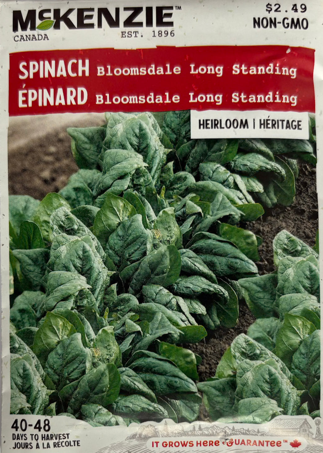 Bloomsdale Long Standing – Spinach