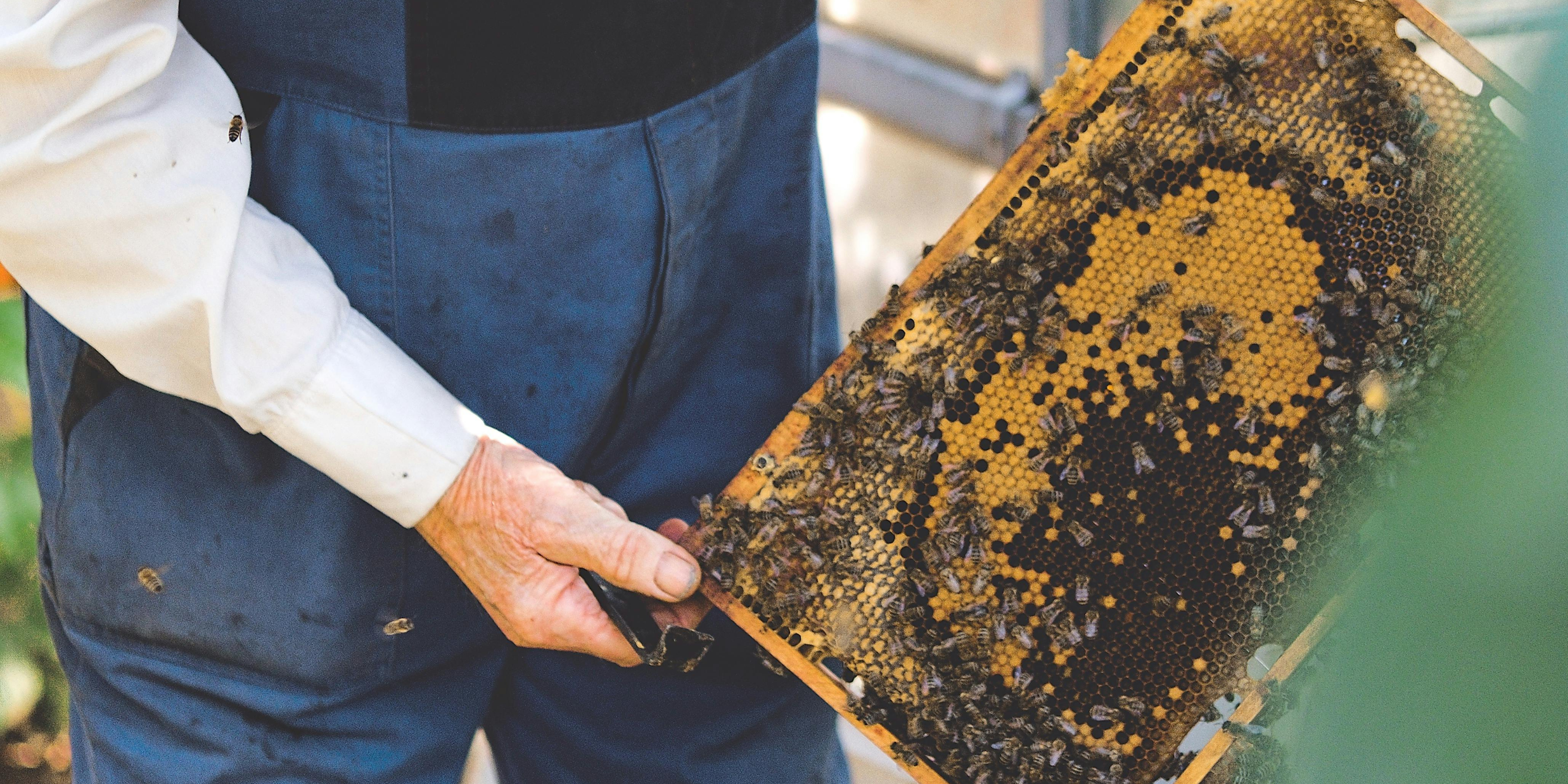 Your Membership Makes An Impact