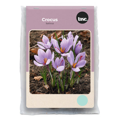 Sativus Crocus