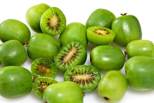Issai Hardy Kiwi