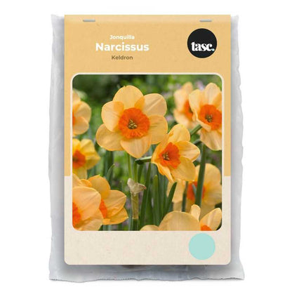 Jonquilla Kedron Daffodil