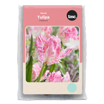 Parrot Cabanna Tulip