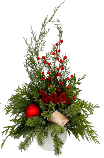 Assorted Christmas Arrangement - LandscapeDirect