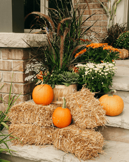 Classic Fall Porch Kit - LandscapeDirect