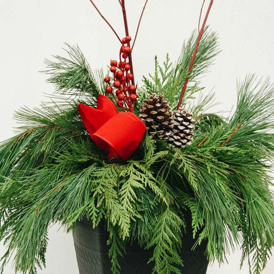 Classic Winter Porch Pot - LandscapeDirect