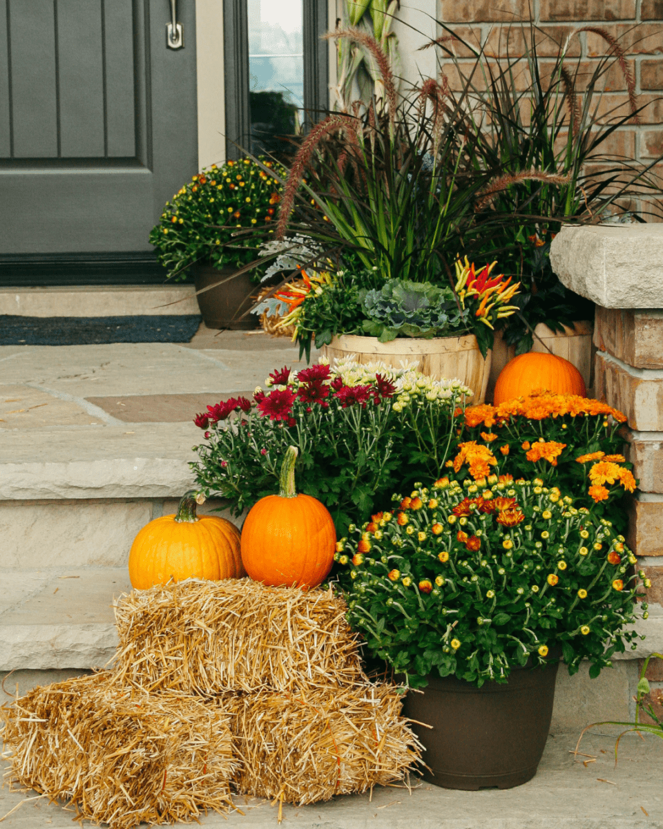 Deluxe Fall Porch Kit - LandscapeDirect