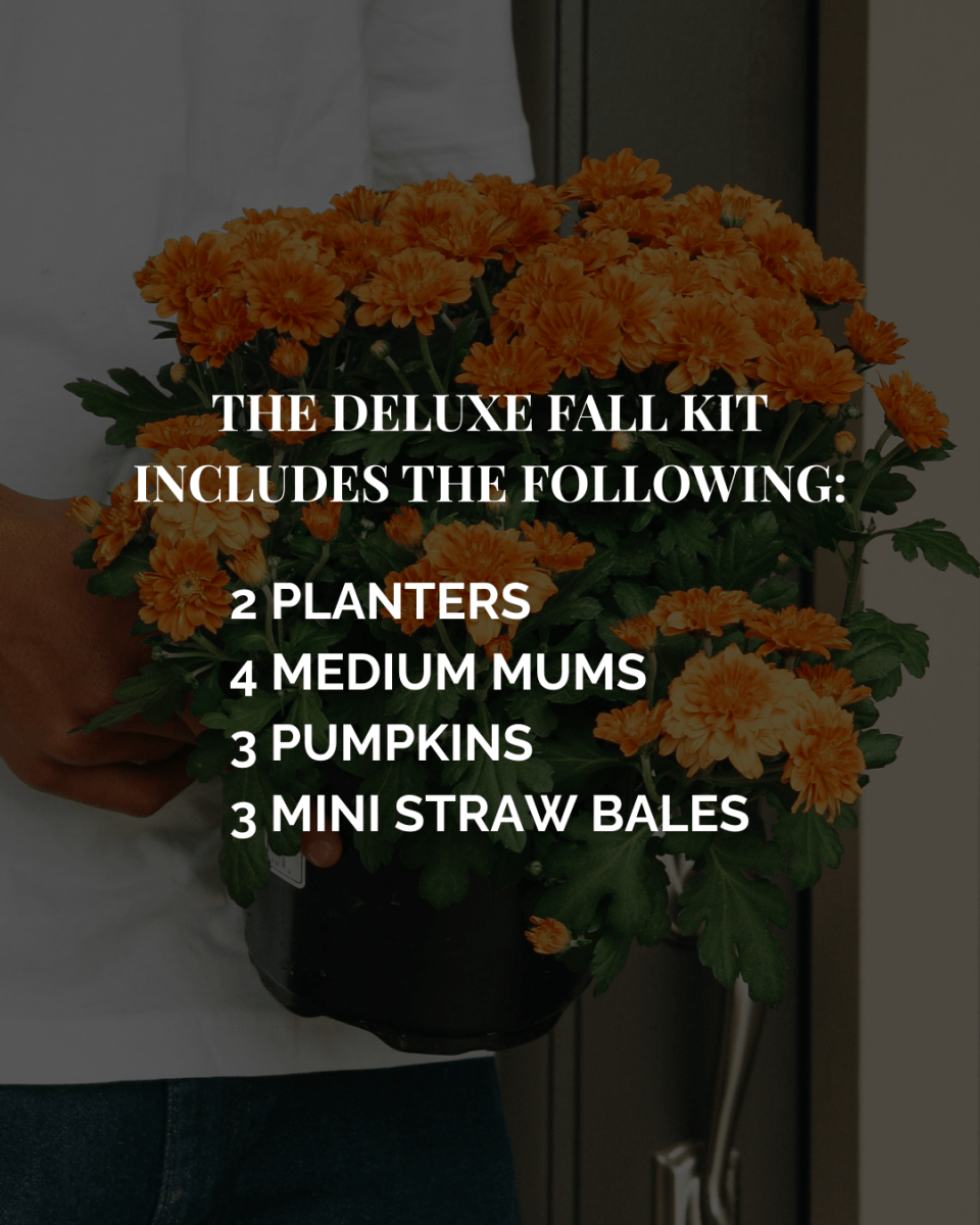 Deluxe Fall Porch Kit - LandscapeDirect