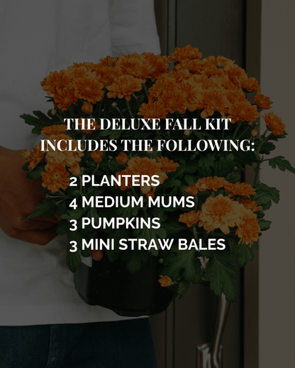 Deluxe Fall Porch Kit - LandscapeDirect