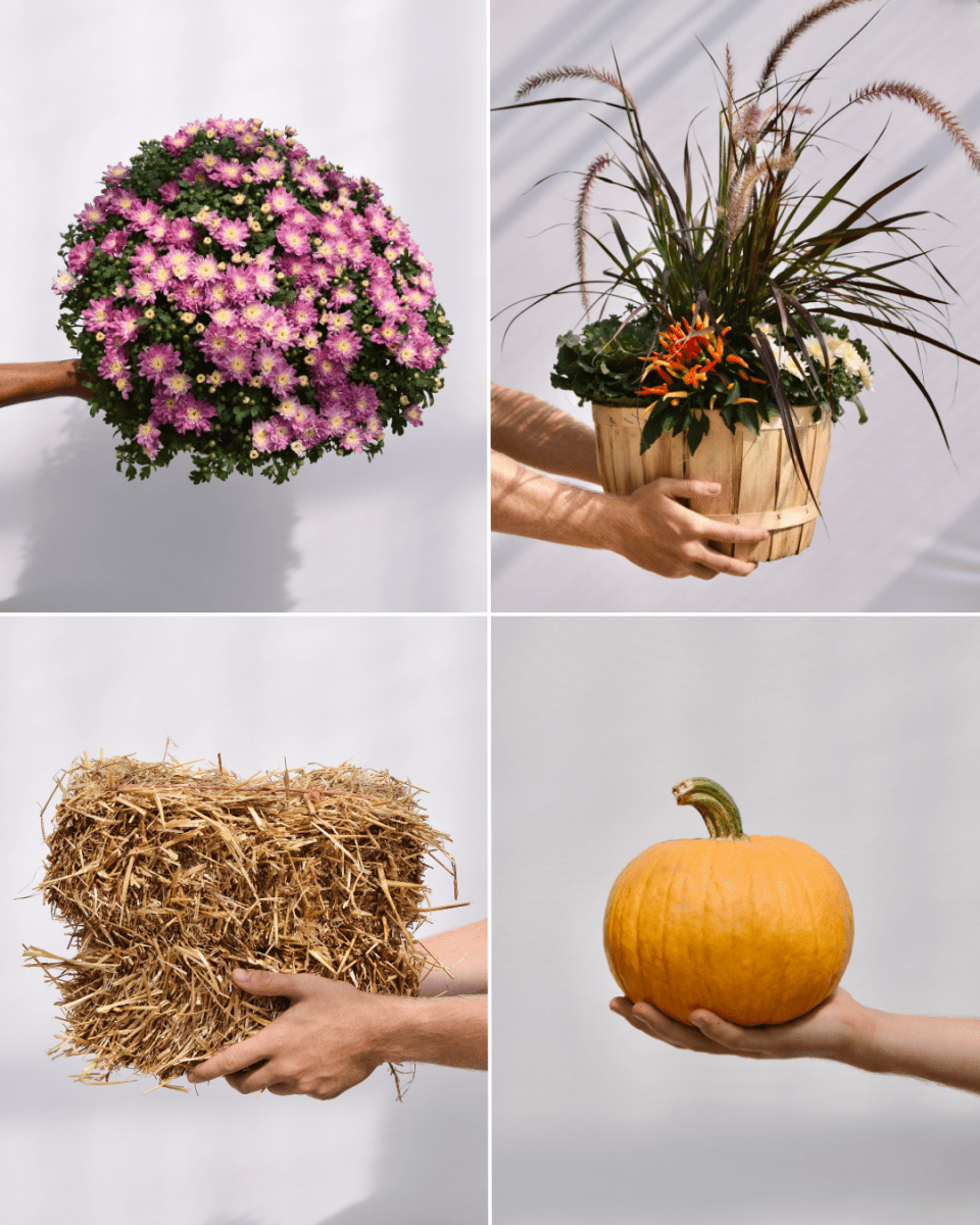Deluxe Fall Porch Kit - LandscapeDirect