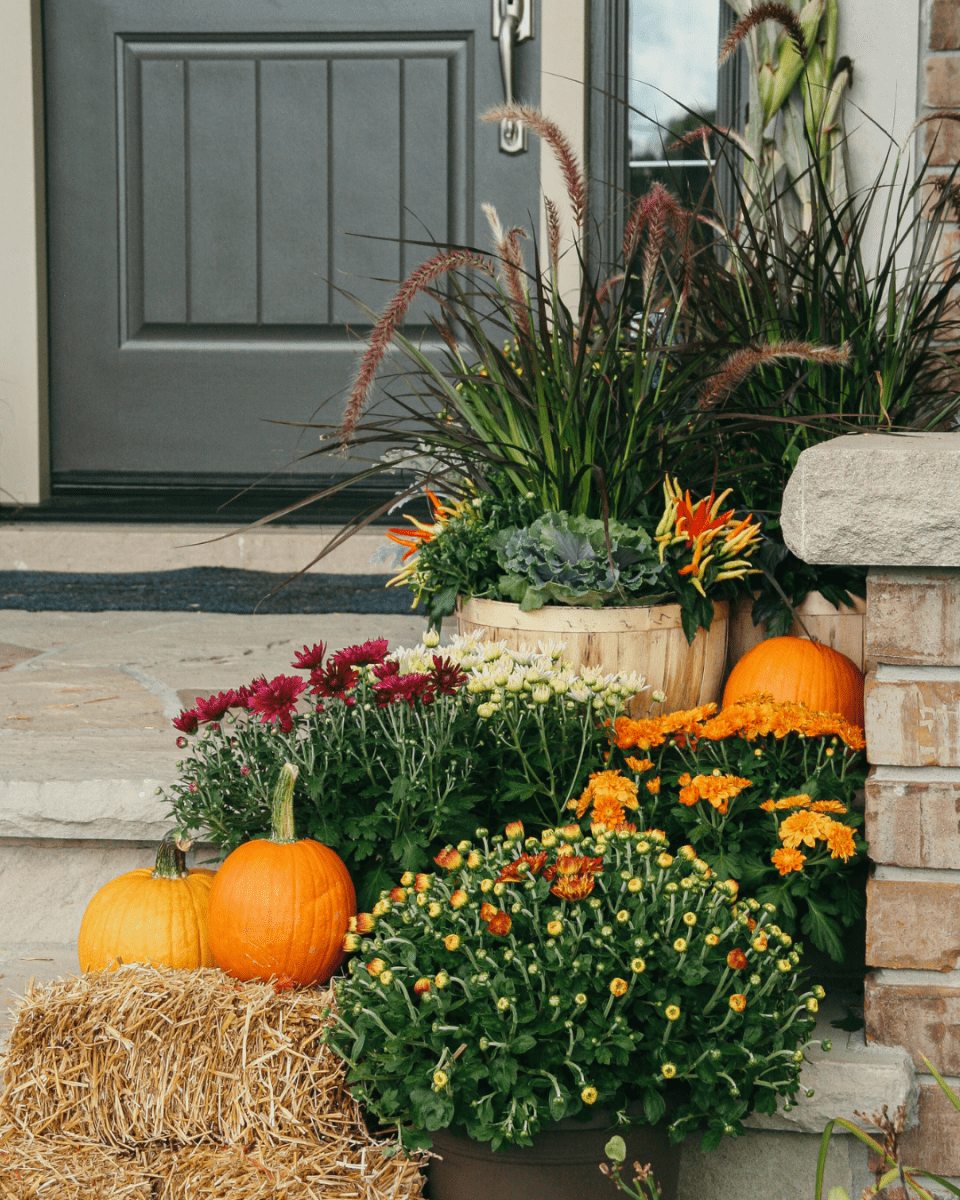 Deluxe Fall Porch Kit - LandscapeDirect