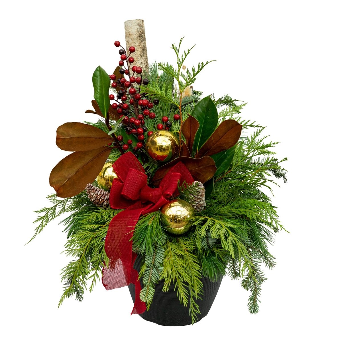 Deluxe Winter Porch Pot - LandscapeDirect