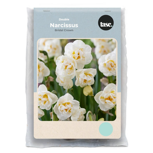 Double Bridal Crown Daffodil - LandscapeDirect