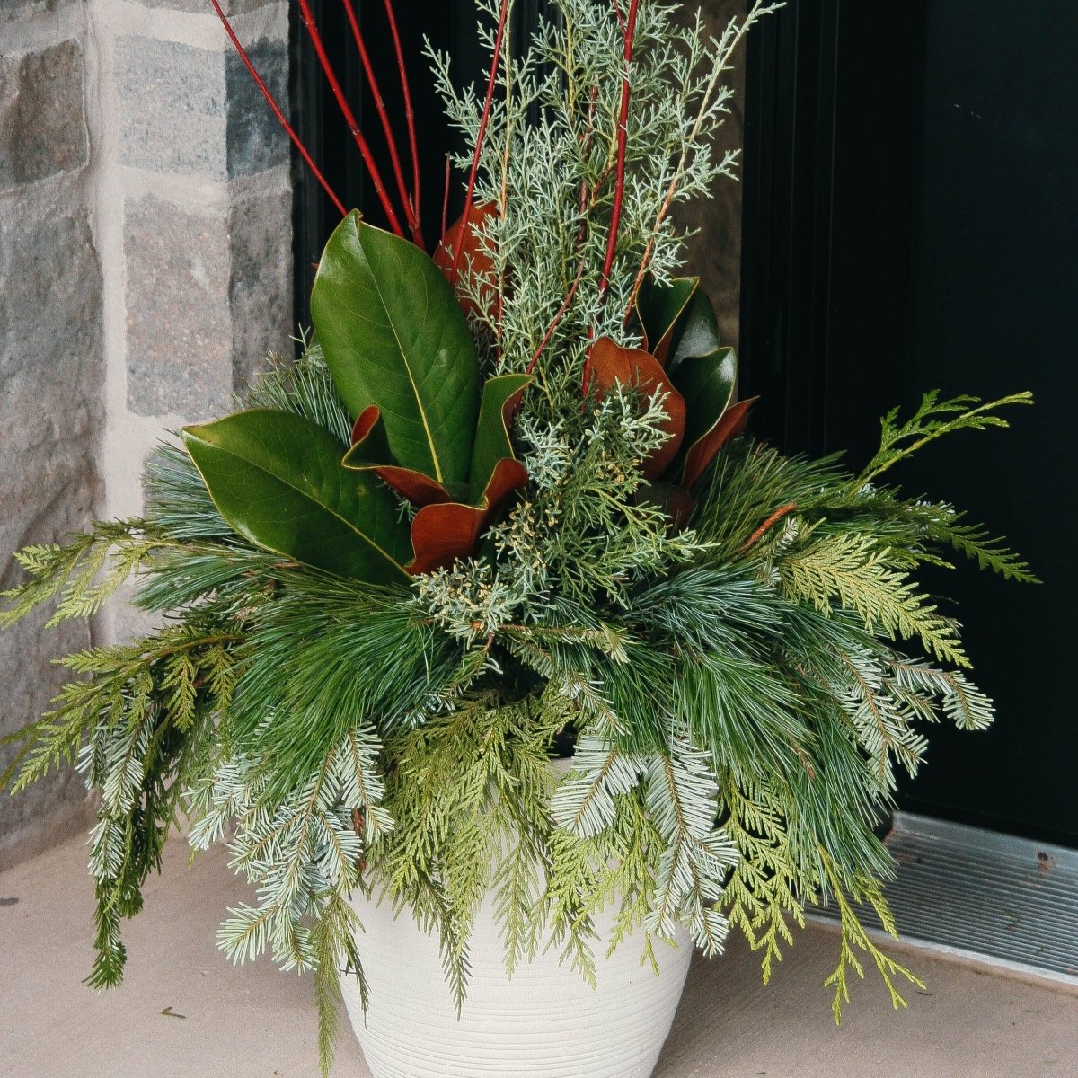 Fancy Greens & Dogwood Winter Porch Pot - LandscapeDirect