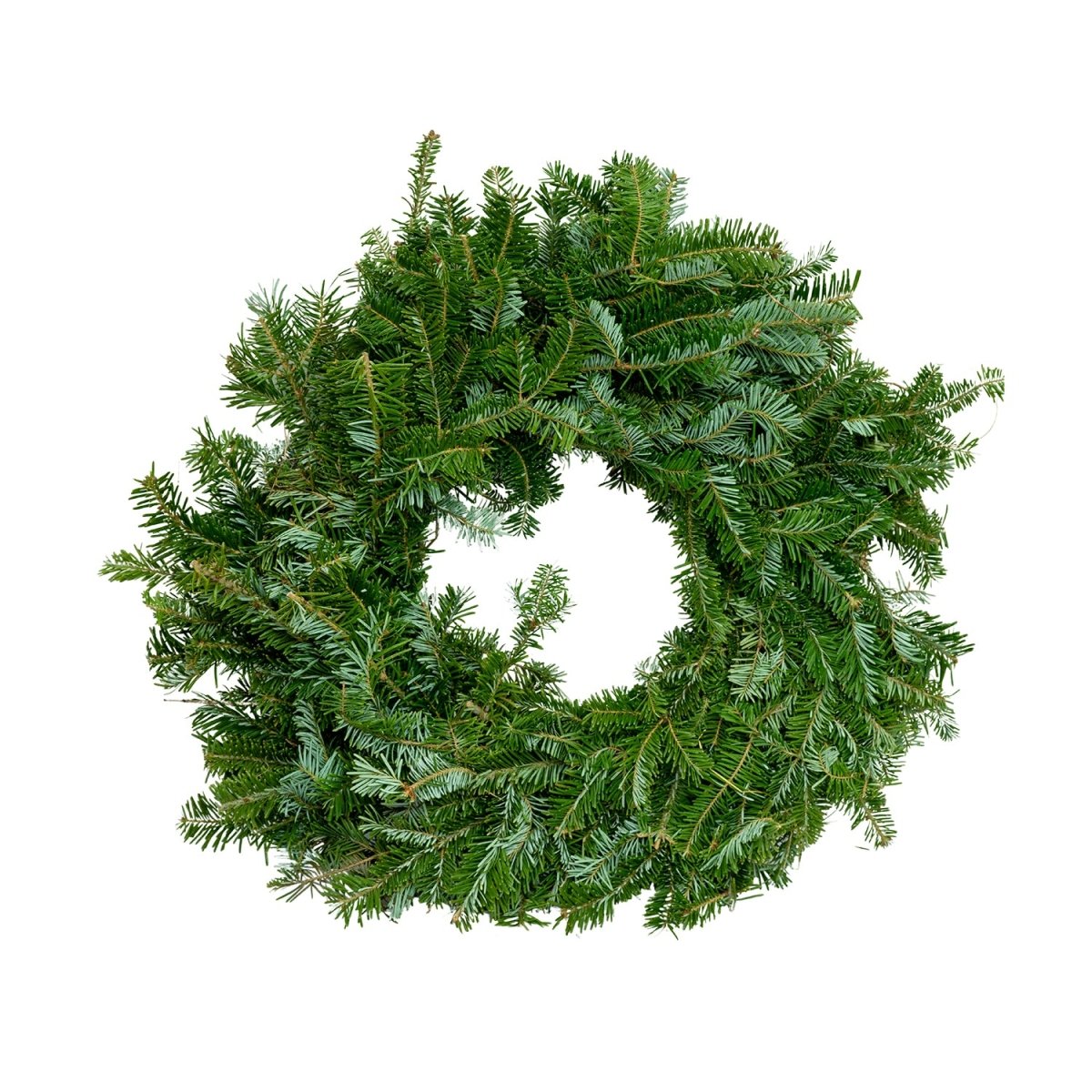 Fraser Fir Wreath - 20 Inch - LandscapeDirect