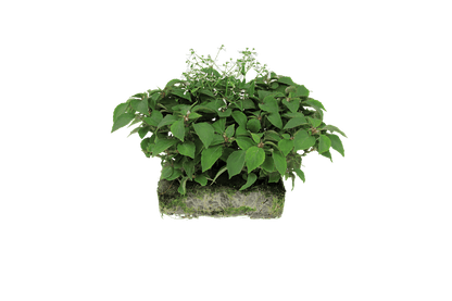 Ireland Combo - Super Pack - LandscapeDirect