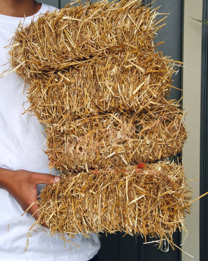 Mini Straw Bale - LandscapeDirect