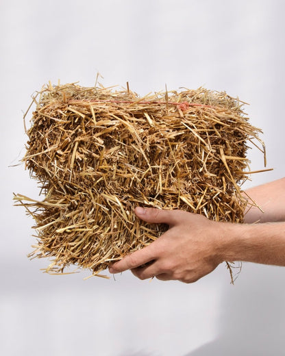 Mini Straw Bale - LandscapeDirect