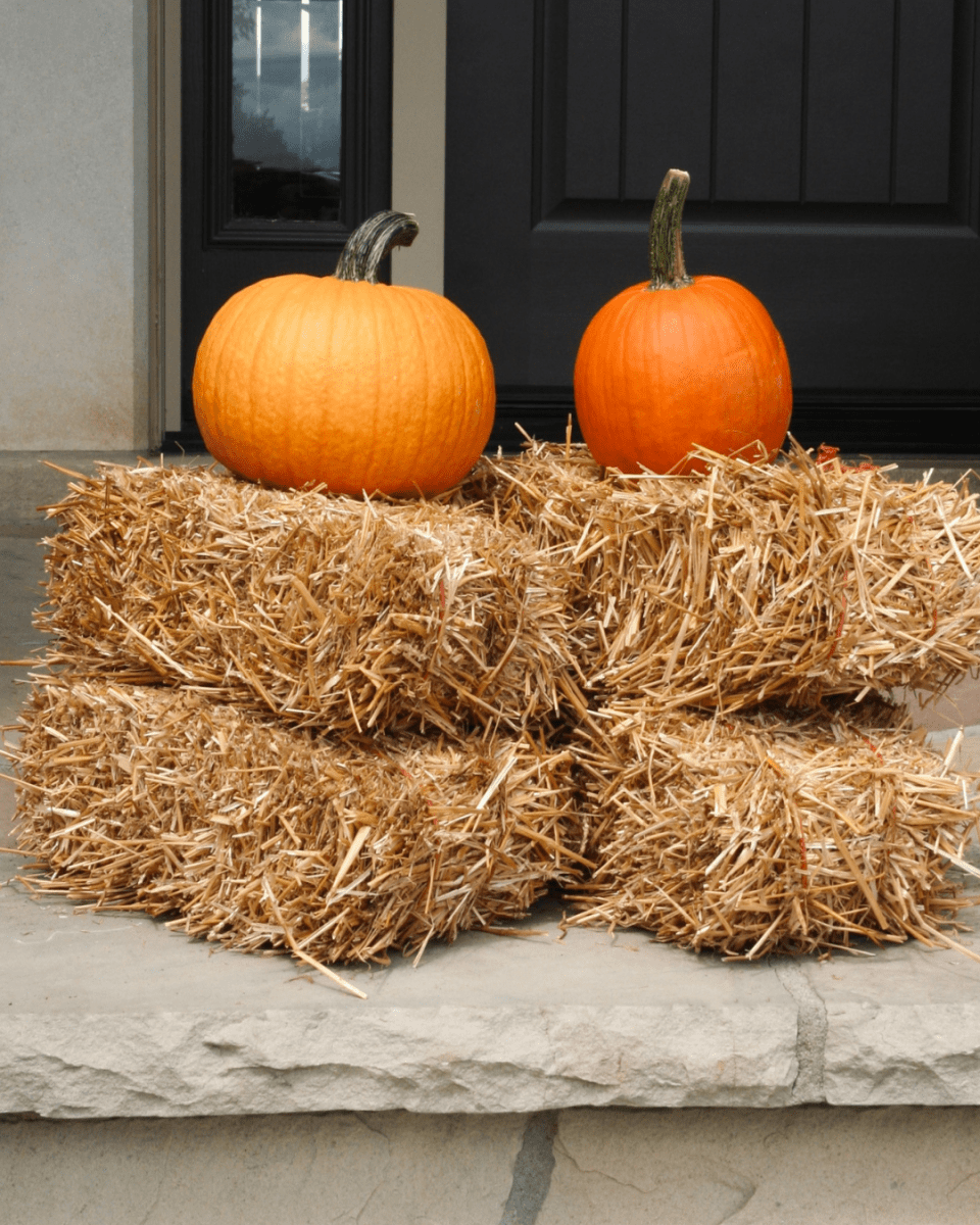 Mini Straw Bale - LandscapeDirect