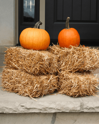Mini Straw Bale - LandscapeDirect