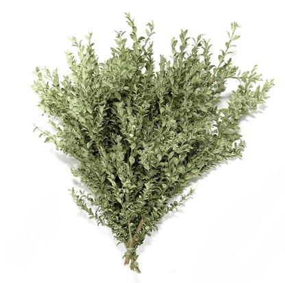 Oregonia Leaf Bunch - LandscapeDirect