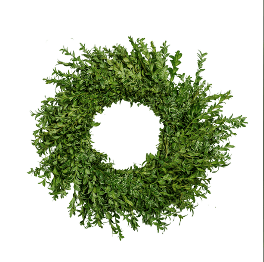 Oregonia Wreath - 20 Inch - LandscapeDirect