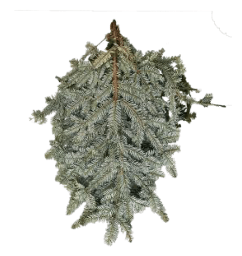 Silver Fir Boughs - LandscapeDirect