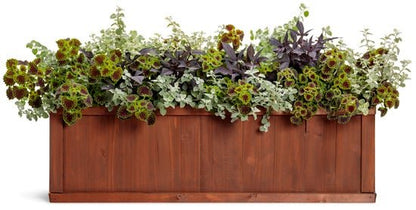 Lady Luck - Patio Container Kit - LandscapeDirect